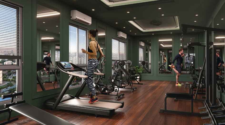 AOS-Genesis-Gym-area